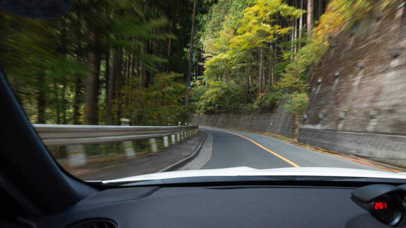 Illustration for article titled There's a Twisting Mountain Road Hiding Inside Japan's Biggest City
